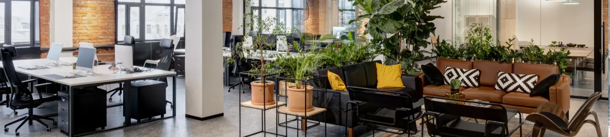 Open plan office